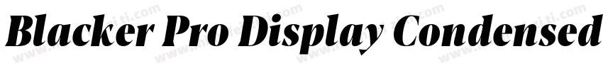Blacker Pro Display Condensed Trial字体转换